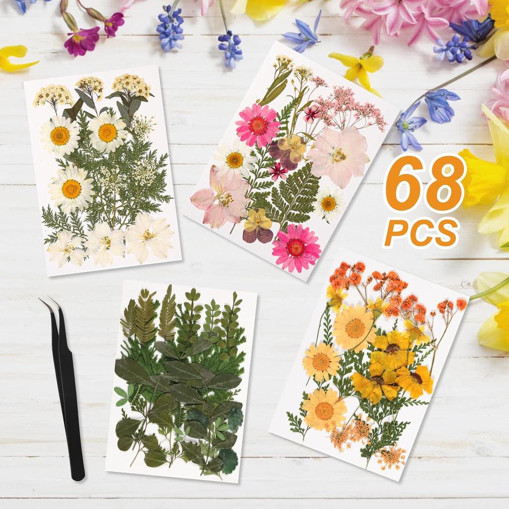 Gold Picture Frame Set - /w 68 Pcs Dried Flowers and Tweezer - Double Glass Frame for Pressed Flowers, Pressed Flower Frames for Handicrafts, Photo