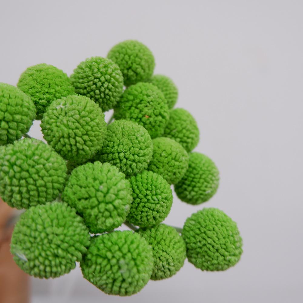 

Средние и Большие Вечные Золотые Шары Материалы для Букета из Сухоцветов Домашнее Украшение Цветочная Композиция Орнаменты Реквизит для Фотографий Ручная Работа Сделай Сам