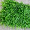 Plastic Lawn Artificial Plant Wall Panel UV Resistant Fake Lawn Carpet  Party Decor