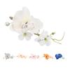5 Pcs Groom Boutonniere Elegant Men Wedding Flower Lifelike Permanent Reusable Artificial Brooch Flo