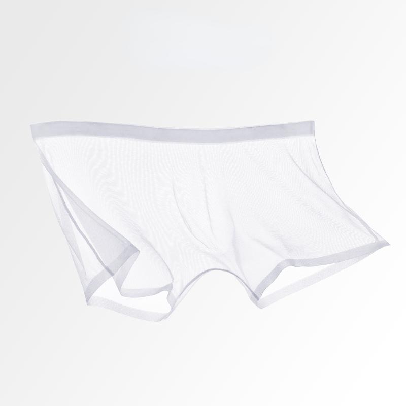 2pc Men's Thin Transparent Panties Mid-waist Mesh Sexy Boxer Shorts Capsule Pocket Breathable Nude Youth Boxers Ultra-thin