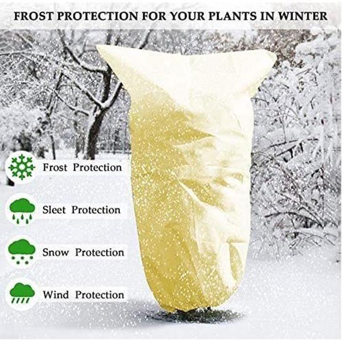 Housse d'Hivernage - Ernage - 100x80 cm - Tissu Non Tissé - Protection Plantes - Haute Qualité