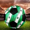 SIZE 5 Hannover 96 Soccer Ball Colorful All Ages Machine Stitched PVC Competition Ready Durable High-Bounce