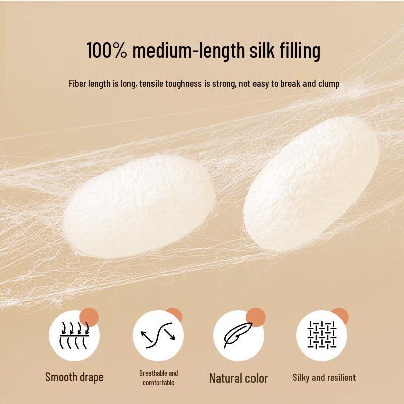 Beyond Home Textile Linlang All-Season Tussah Silk Quilt