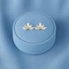 Marquise Fan Cluster Stud Earrings - 925 Sterling Silver Yellow Plated