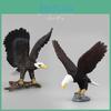 Exquisite Pvc Animal Models With Striking White Head Eagle And Owl Static Decorations
