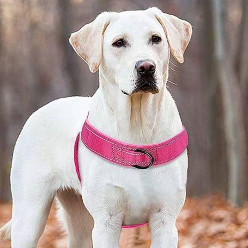 With Reflective Strips Walking Dog Leash Vest Adjustable Dog Harness Medium Large Dogs