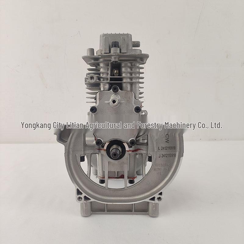 139F Four-Stroke Engine Assembly: Crankcase, Cylinder, Piston Ring, Crankshaft, Valve - Lawnmower Power Accessories