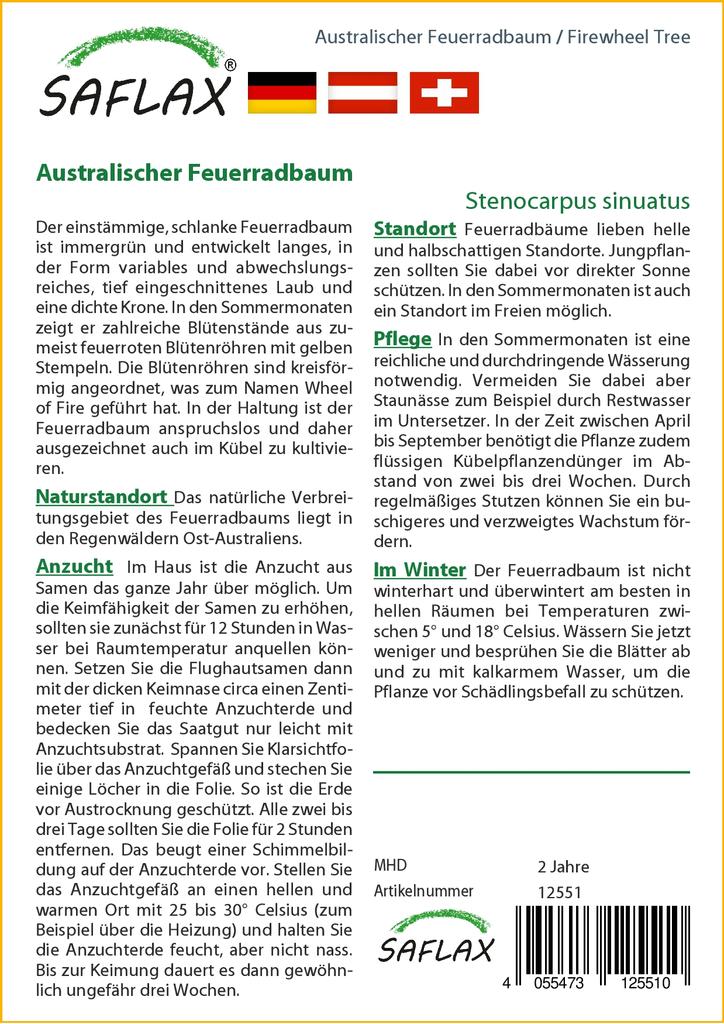 SAFLAX Firewheel Tree - 20 semen - Se substrátem pro lepší pěstování - Stenocarpus sinuatus