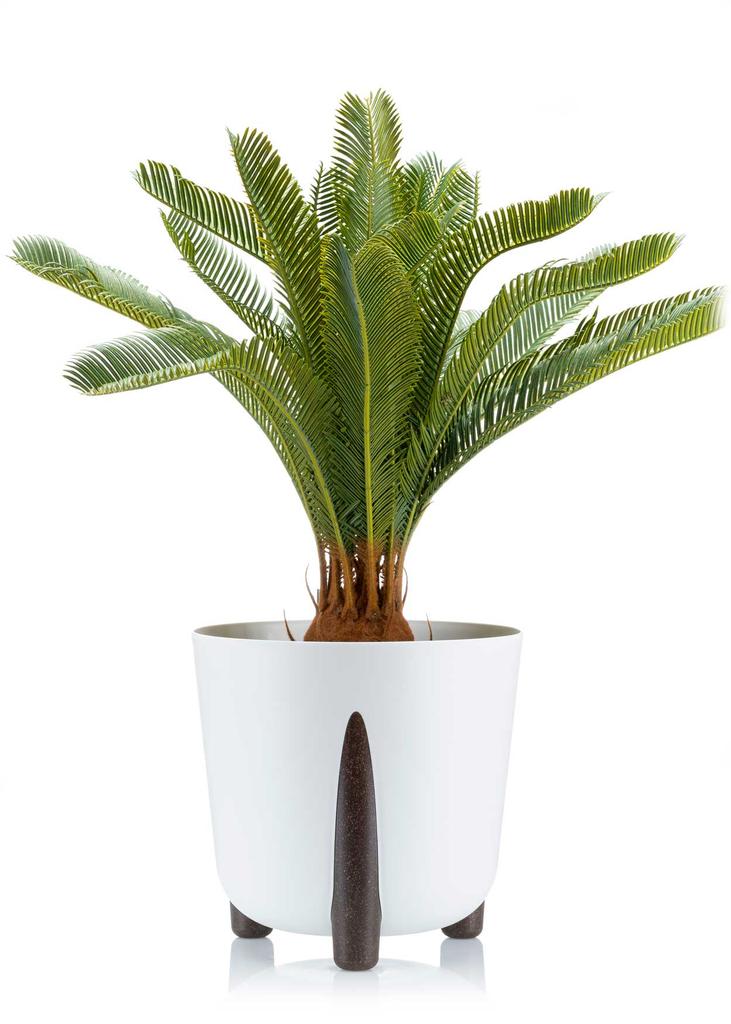 Donica Moss Biała 34Xh32 Cm