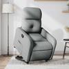 Vidaxl Lift and Tilt Recliner, Light Gray, Fabric Upholstered