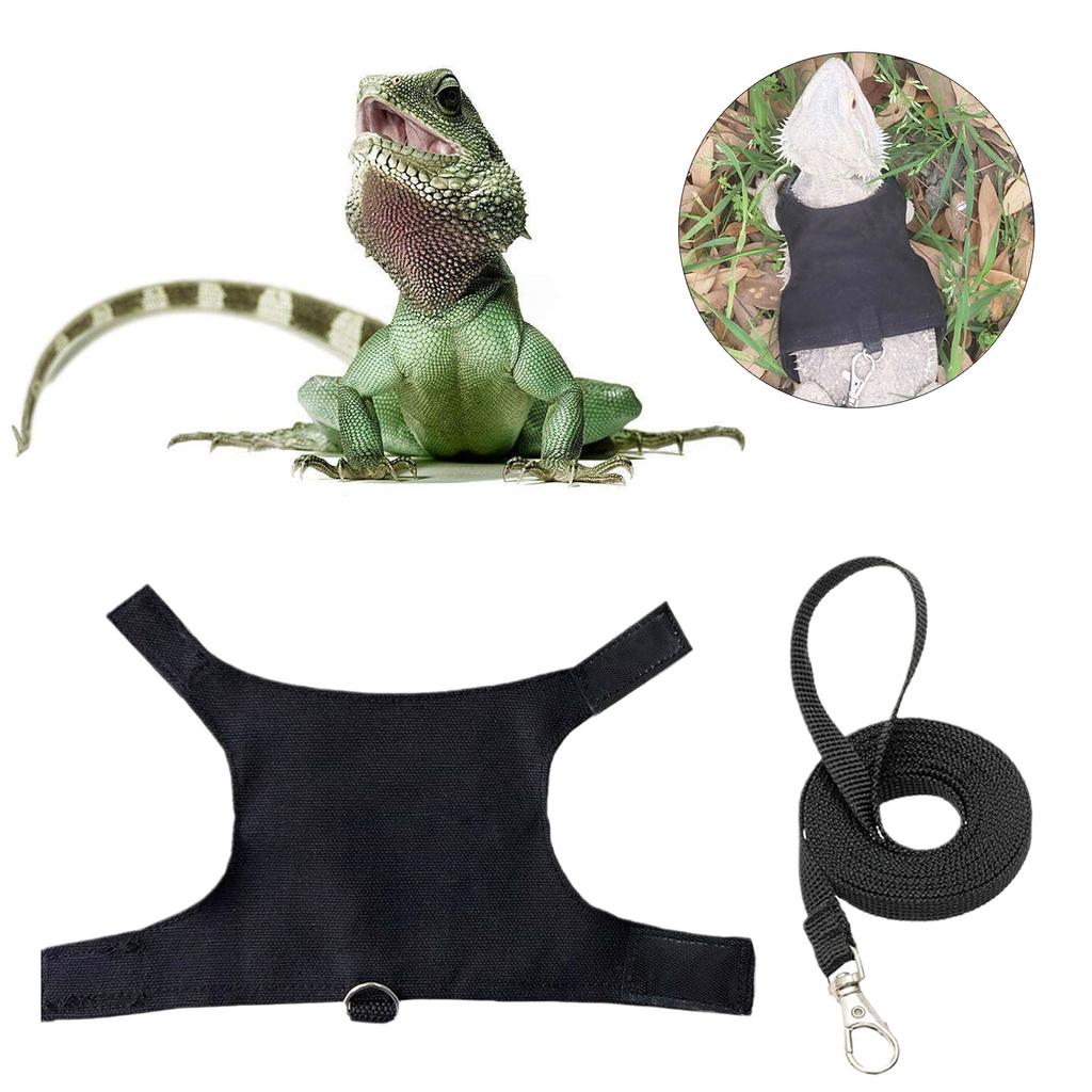 Reliable Chest Back Traction Rope Set for Lizard Reptiles Outdoor Walking Harness with Letter Print for Reptiles Crawl