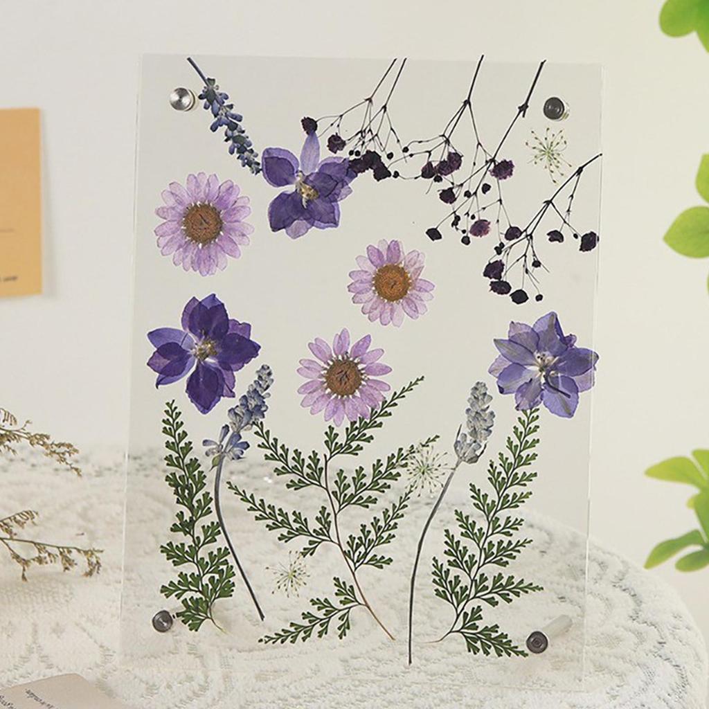 Pressed Flower Frame Acrylic Keepsake Home Decor Dried Flowers Display Photo Frames For Home Living Room Kitchen Bathroom Office