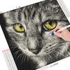 Diamantbroderi 5D Cat DIY Diamantkunstmaleri Animal Mosaic Home Decoration