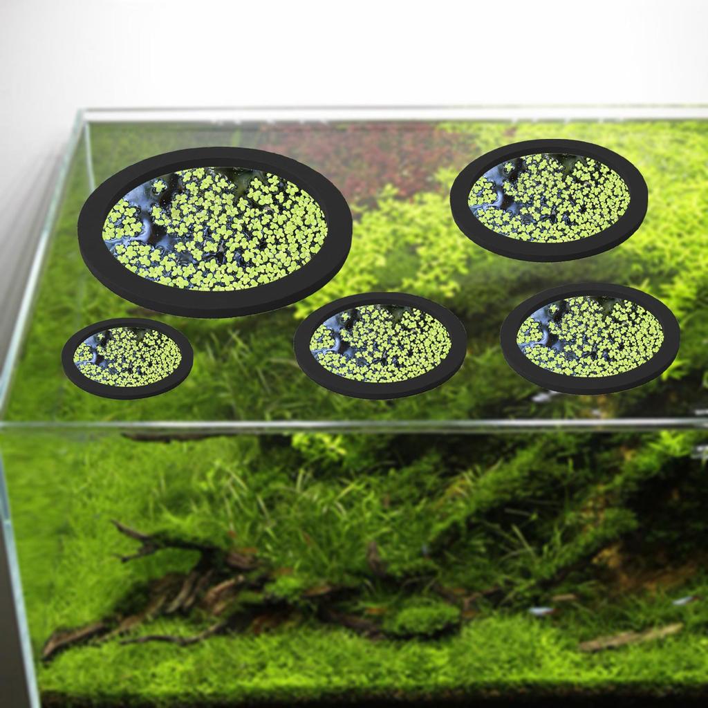 5x Aquarium Schwimmende Pflanzenringe Fischfütterungsringe Mehrere Größen Schwimmende Pflanzengehege Tragbares Aquarium Grasblockierende Ringe Set