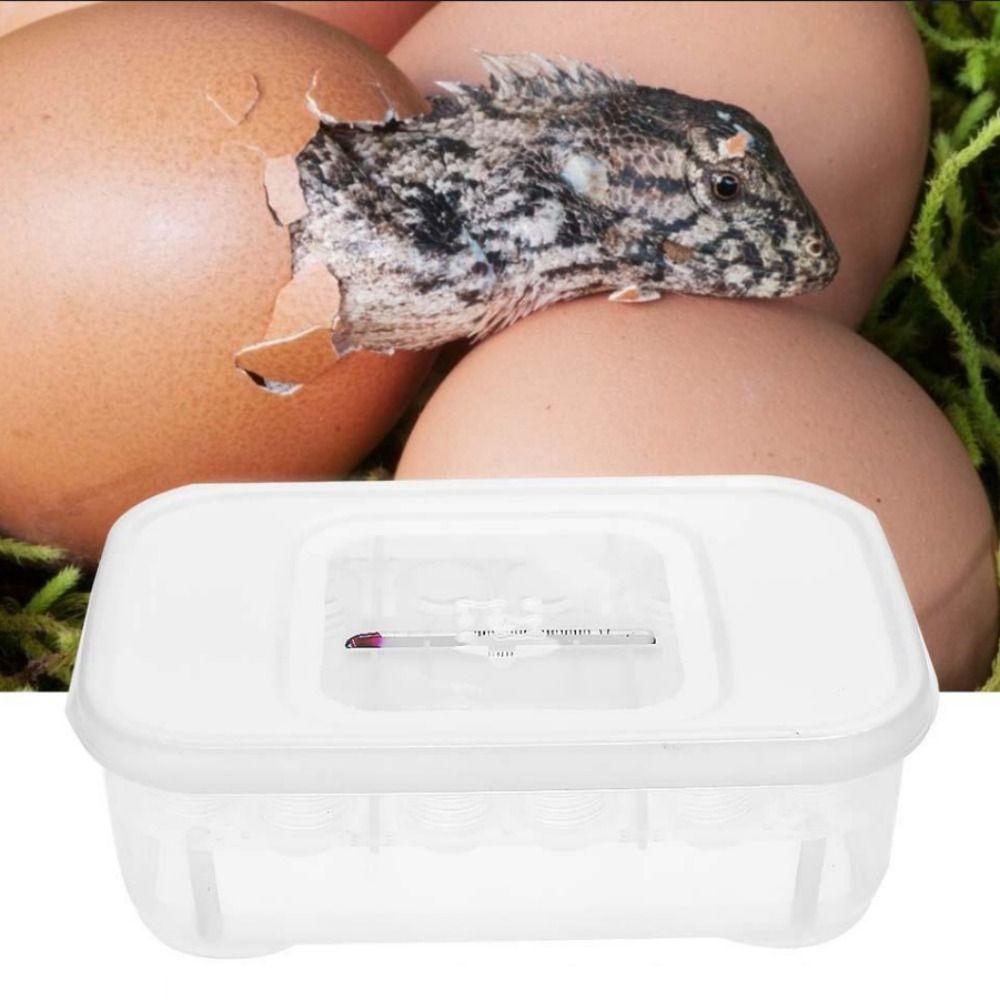 12 Löcher Reptil E-Ei Inkubationsschale Gecko Eidechse Schlange Eier Inkubation Werkzeug Insekten halten Box