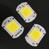 Hot! 220V LED Floodlight 20W/30W/50W White/Warm Light COB Chip Integrated Smart IC Driver Lamp