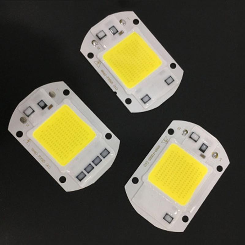 Hot! 220V LED Floodlight 20W/30W/50W White/Warm Light COB Chip Integrated Smart IC Driver Lamp