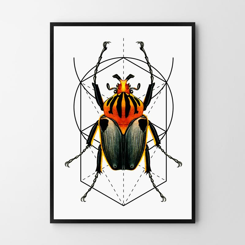 Poster Worm Insect Geometry