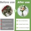 5pcs Spiral Ikebana Stem Holder, Diy Bouquet Kit Spiral Ikebana Stem Holder For Flowers, Ikebana Tools Flower Bouquet Supplies