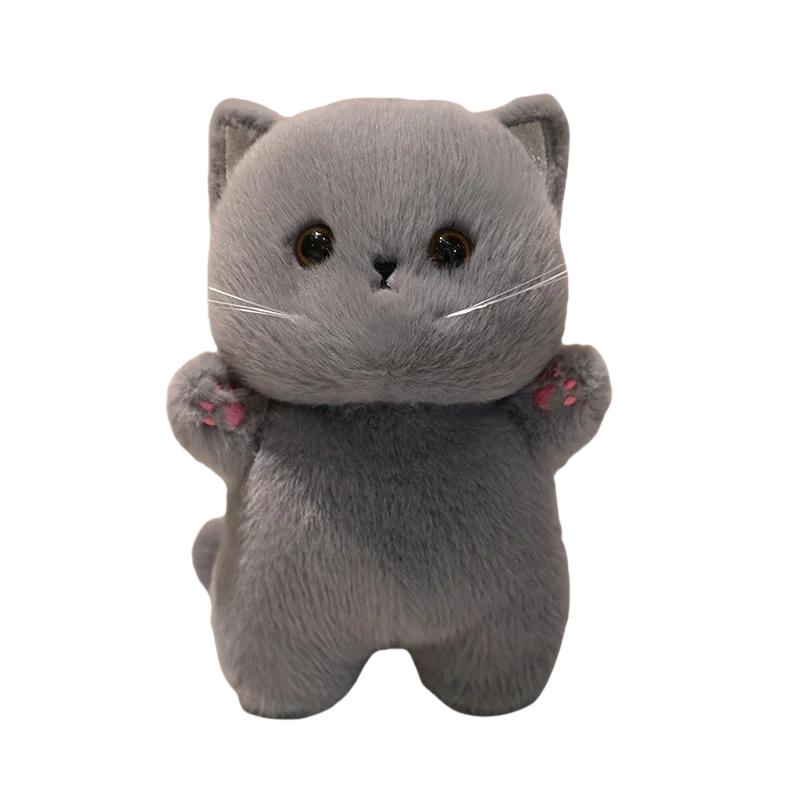 Adorable Japan Bring Cat Plush Toys Stuffed British Shorthair Grey White Orange Ragdoll Pussy Kitten Doll Table Accompany Toys