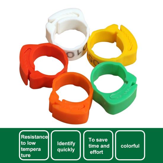 Yousheng 100Pcs Chicken Ring Adjustable Buckle Design Easy-assembled Duck Chicken Foot Ring for Marking