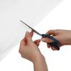 Plant Winter Protection White 20 x 1.6 m Non woven Fabric