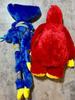 Zestaw 2 Poppy Playtime Chum Chompkins HuggyWuggy Duża Pluszowa Zabawka Vol.5 Namco Ltd.
