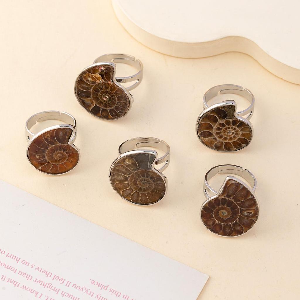 European and American Style Ammonite Conch Slice Ring, Copper-Plated White, Adjustable Open Design
