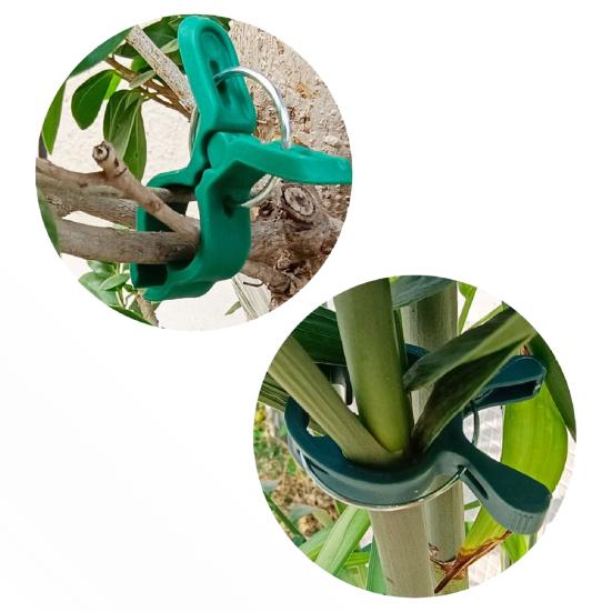 20Pcs Plant Fixing Clips Heavy Duty Weather-proof Universal Indoor Outdoor Garden Climbing Plants Flowers Stems Support Plastic Clamps