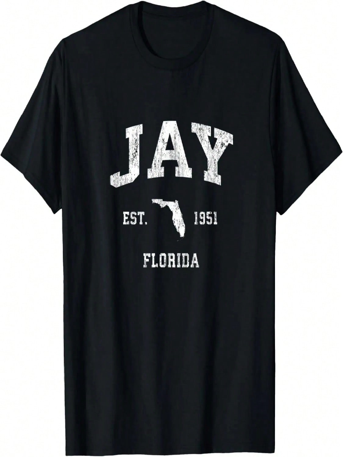 Футболка с винтажным спортивным дизайном Jay Florida FL S разноцветный