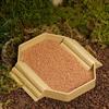 Anti-Slip Tortoise Water Dish Plastic Reptile Pool Dish Turtle Feeding Dish  Terrarium Setup