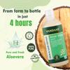 Vansaar Aloe Vera Juice 1 L Natural Cold Pressed With Pulp For Skin Glow Hydration Hair Nourishment Daily Health Drink