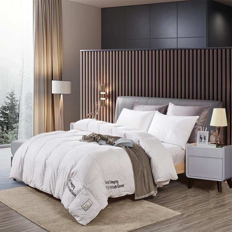 Jin Si Li Crown Plaza White Goose Down Quilt