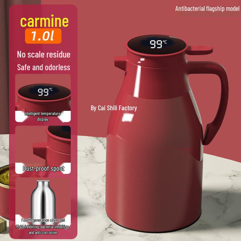 Insulated Thermos Flask with Smart Temperature Display, Glass Liner for Hot Water