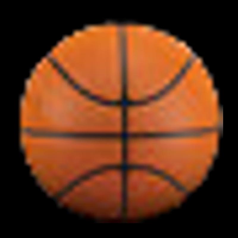 Fenzhanzhe NBA ENCORE PRO Outdoor Basketball