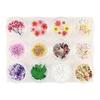 Resin Parts with Sparkling Butterflies Nail Resin Pressed Flowers Materials Set of 12