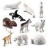 Arctic Animal Simulation Model: Rabbit, Fox, Killer Whale, Beluga, Reindeer, Husky, Polar Bear, Igloo Sandbox