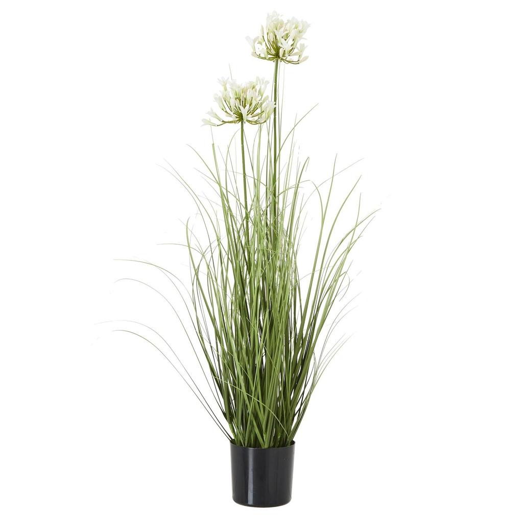 Hill Interiors Agapanthus Plant Pot