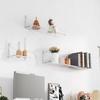 Clear Acrylic Wall Mounted Floating Shelf Set