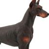 Doberman Pinscher Model Cognitive Ability Burrs-free Smell-less Action Figure Toy Doberman Pinscher for Children