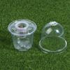 1/5Pcs Visible Clear Plants Germination Cup Transparent Plastic Nursery Growing Box Indoor Garden Greenhouse Seed Starter Tray