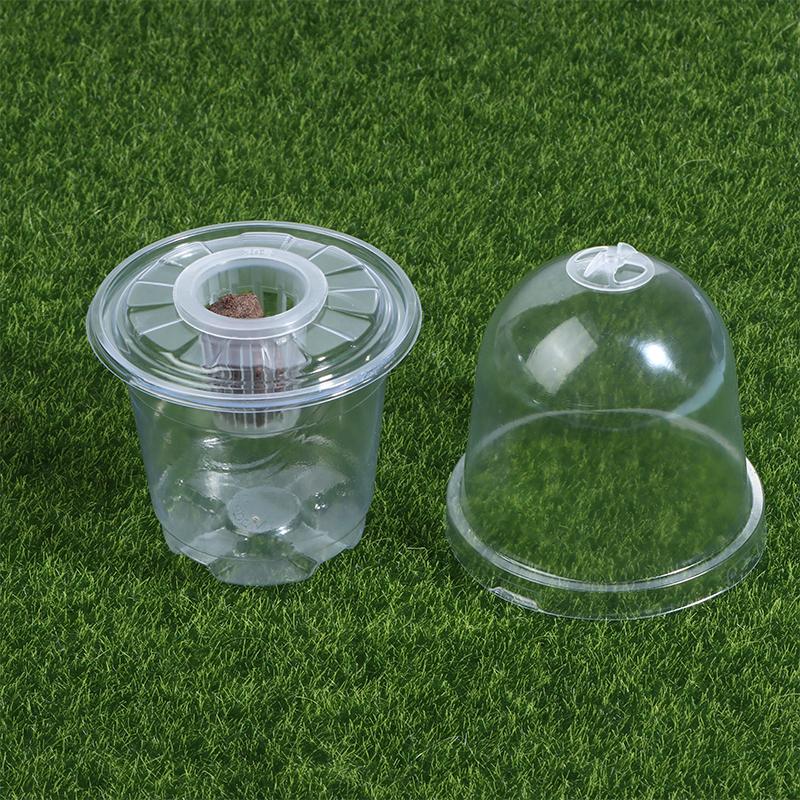 1/5Pcs Visible Clear Plants Germination Cup Transparent Plastic Nursery Growing Box Indoor Garden Greenhouse Seed Starter Tray