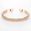 European American Fashion Rose Gold & Silver Plated 2-Row Diamond Open Bangle Bracelet for Women