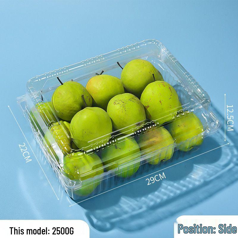 Clear Plastic Disposable Fruit Box with Lid for Strawberries