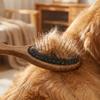 Pet Grooming Brush Hair Removal Comb for Dogs and Cats Effective Shedding Tool with Comfortable Handle for Easy Cleaning and Maintenance
