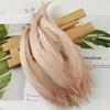 50Pcsdiy Handmade Feathers Long Feathers Off White Purple Tail Jewelry Accessories Mask Handicrafts Clothing Accessories