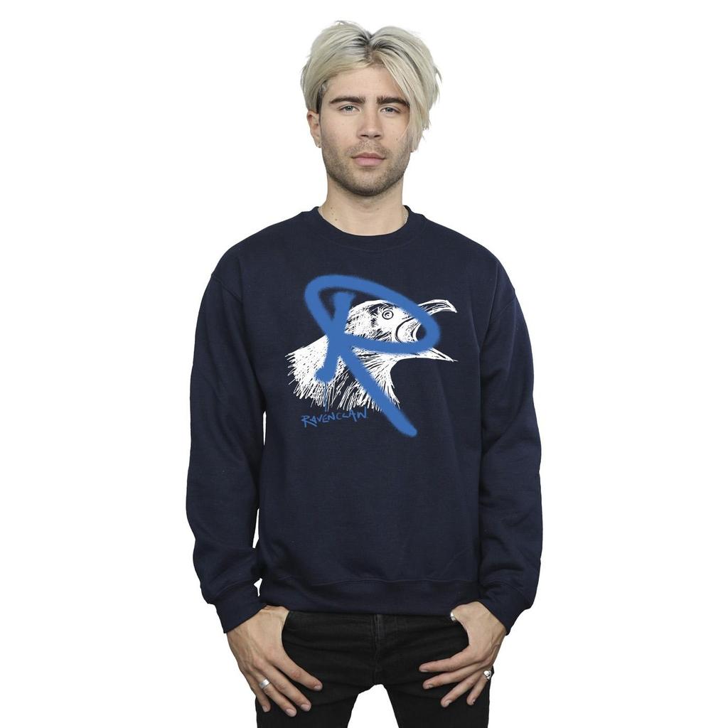 Harry Potter Mens Ravenclaw Pop Spray Sweatshirt