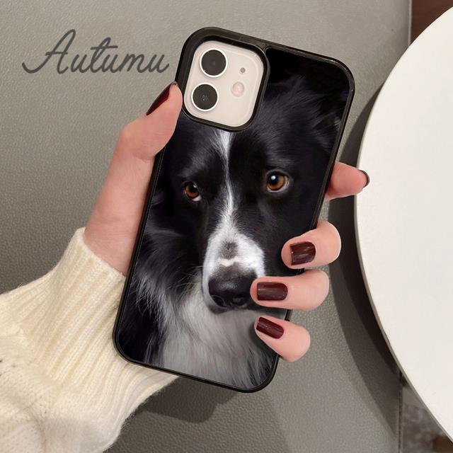 Süße Border Collie Hund Haustier Handyhülle für iPhone 11 12 13 14 Pro Max Mini XR XS SE 2020 6S 7 8 Plus Samsung Galaxy S21 S22 Cover