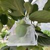 Fruit Protection Bags Drawstring Closure Mesh Fruit Bag Reusable Fine Mesh Covers for Tomatoes Strawberries Vegetables Protection from Insects Birds